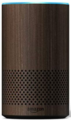 Amazon Echo dekoratif kabuk fırsatları 2019